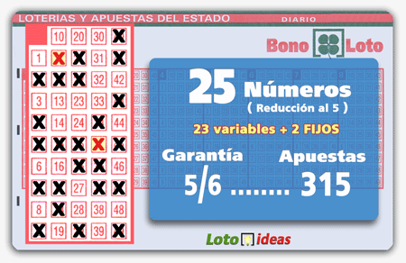 Bonoloto - 25 números (23 + 2 fijos) en reducción al 5 por 315 apuestas